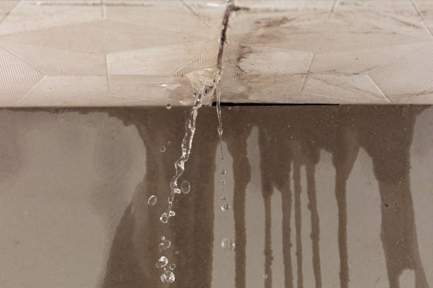 Professional Water Extraction technician working in Naperville, IL